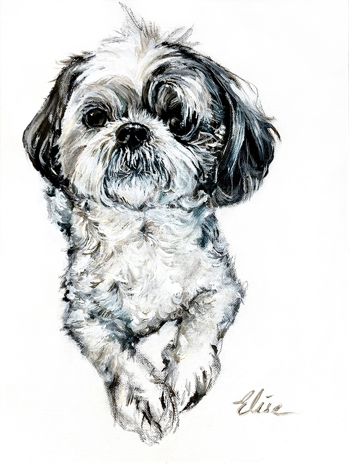 shitsu, shitsudogpainting, laureneliseart, dogportraits